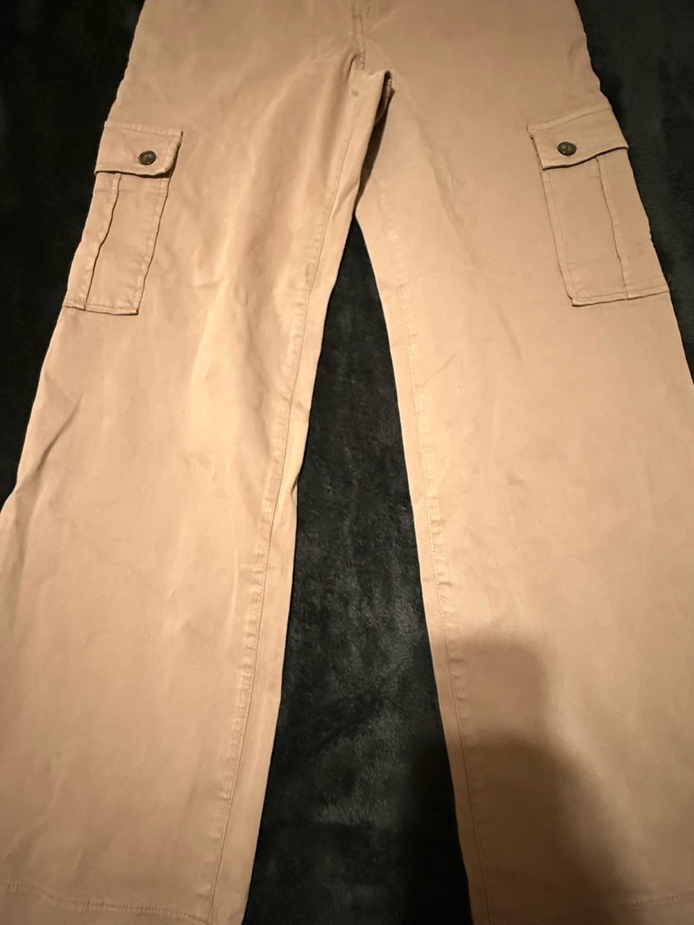 Express women Cargo Pants in Tan